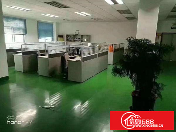 龙岗龙东独院4600平带装修电梯可分租