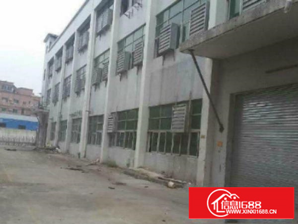 万江107国道旁独院1000平方标准楼房一楼出租合做五金、机