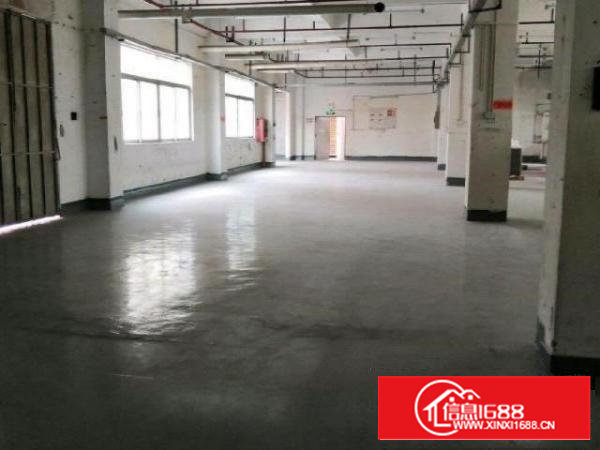 西乡九围村厂房出租，3000平方、租金25每平方