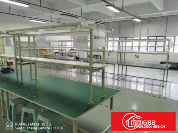 坪山大工业区新出原房东二楼500平带装修办公室厂房出租