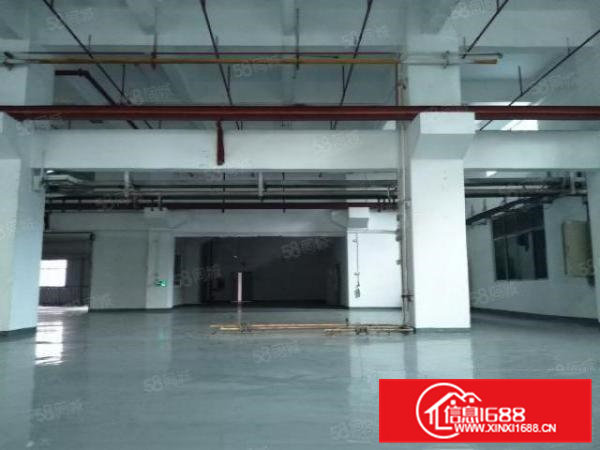 凤岗五联原房东一楼1000平厂房出租可以分租可办环评消防喷淋