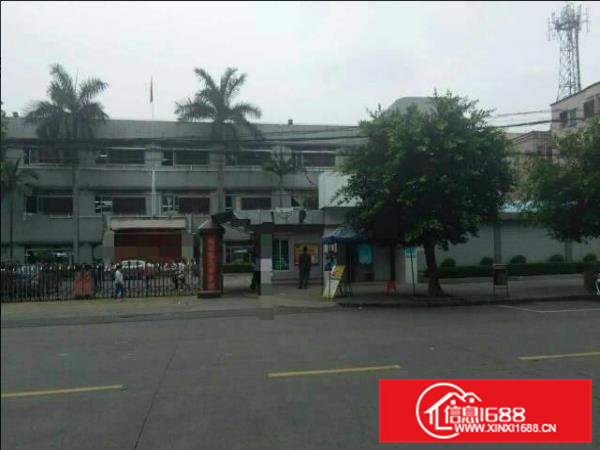 常平白石岗工业区厂房3层4600平方带装修