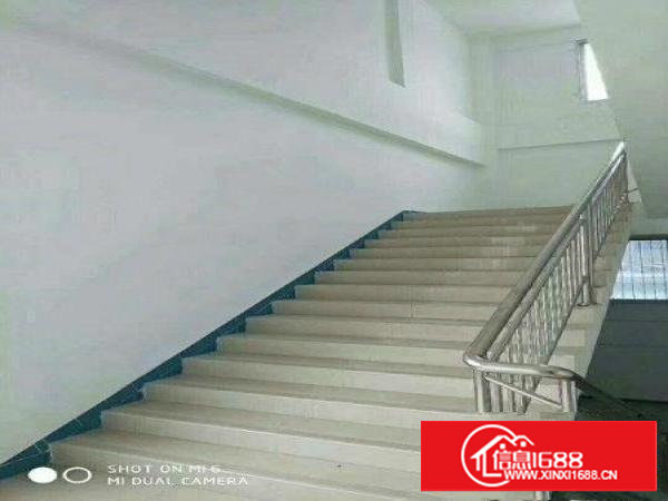 钢构独院出租3250平方滴水7米