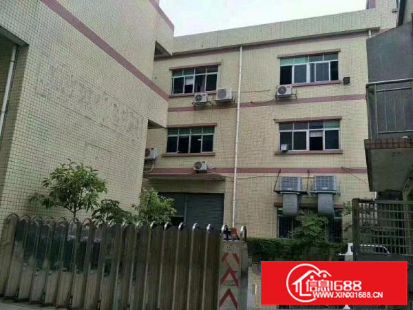 桥头镇工业区新出三层7800平方独门独院厂房出租，