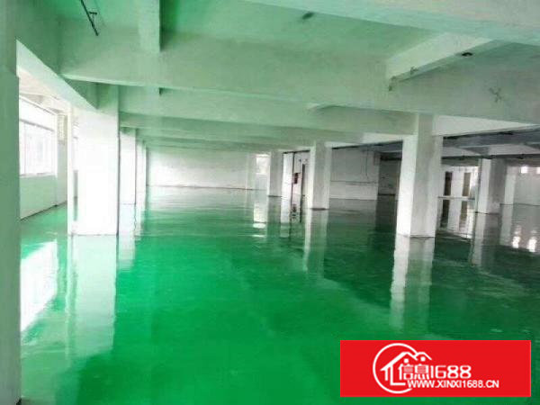 塘厦科苑城豪华办公室装修，现场水电线路，楼上1400平方