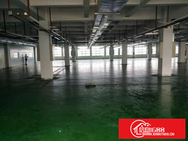 虎门南栅新出原房东独门独院6000平方厂房，可分租