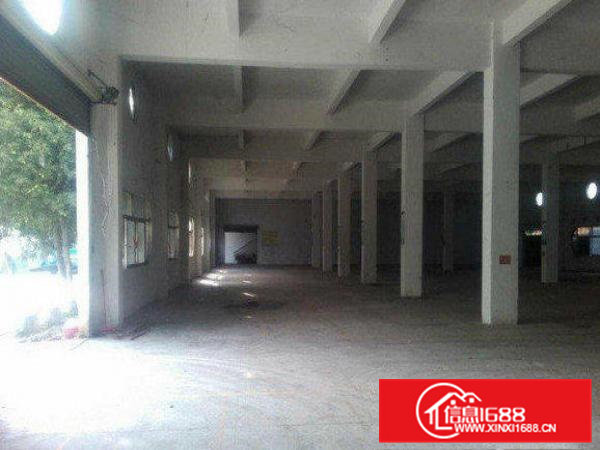 企石深巷新出一楼1500平标准厂房招租