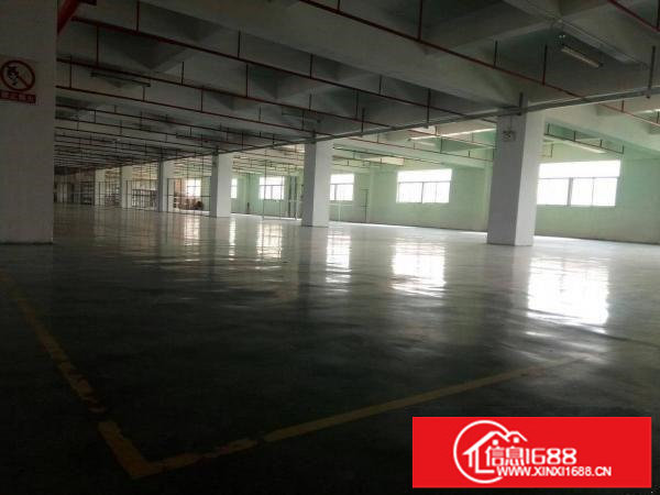 观澜樟坑径新原房东1500平精装厂房出租