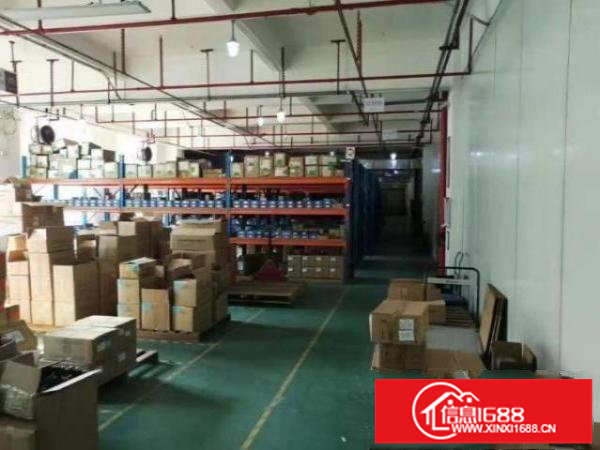 观澜福民红本厂房出租1500平