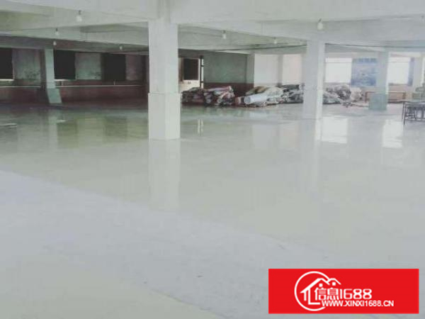 5200方厂房独立4层1400方/层带2吨货梯