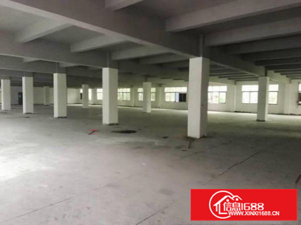 平湖整层1300平带缷货平台厂房招租可分