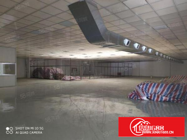 石碣新出原房东独门独院一层厂房全新装修带吊顶位置好可办环评