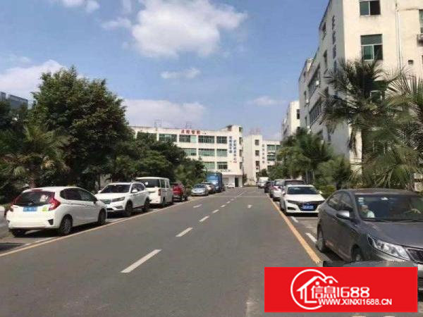 坂田亚洲工业园新出238平430平718平956平带装修出租