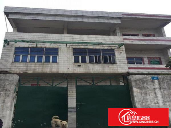 出租横沥自用小加工用厂房