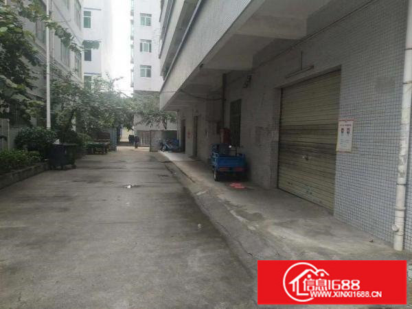 出租龙岗区坂田上雪一楼200平（可做仓库，国际物流，电商）