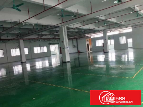 大岭山豪华装修标准厂房二楼楼1000平出租，价格美丽