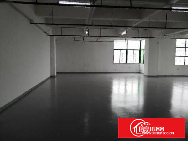 沙井沙一1500独栋（带装修）可分租