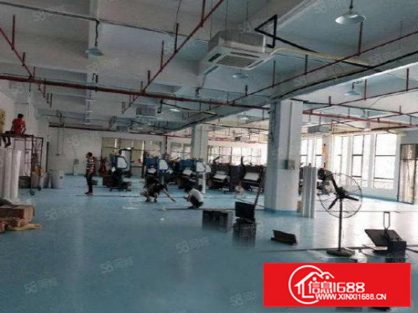 塘厦四村独院标准3楼1280平方！电子车间！干净整洁装修