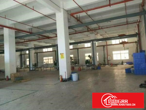 高7.5米大朗新马莲标准一楼1400平方厂房12元甩租