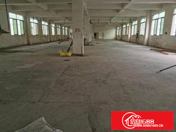 企石镇原房东独院标准厂房出租