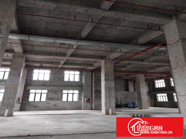 原业主1500平厂房出租不限行业层高8.5米