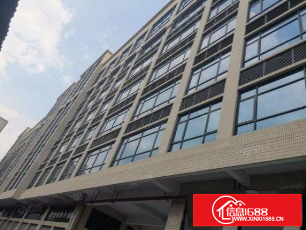 南海里水单层1100方标准厂房。带消防喷淋。