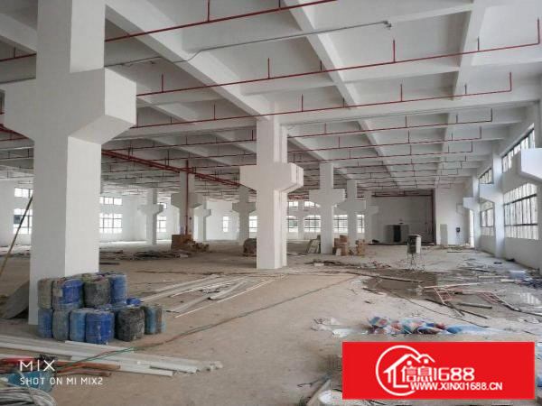 1800平方标准厂房分租