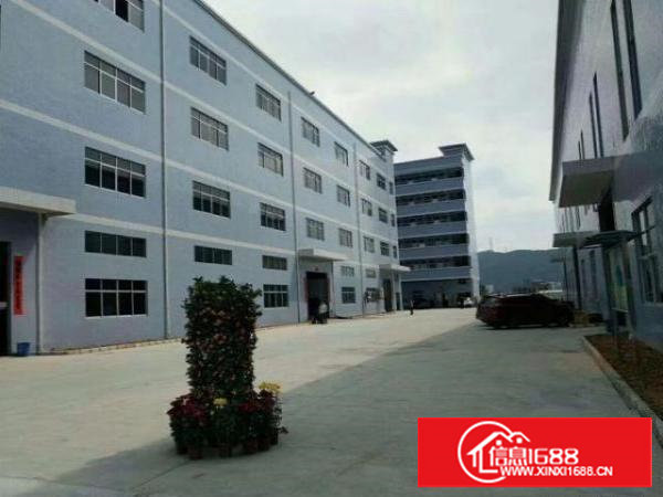 塘厦标准3楼650平,带地坪漆,主线到车间,带排线