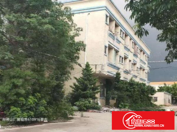 高埗新出原房东单一层2200平方，滴水8米价格16