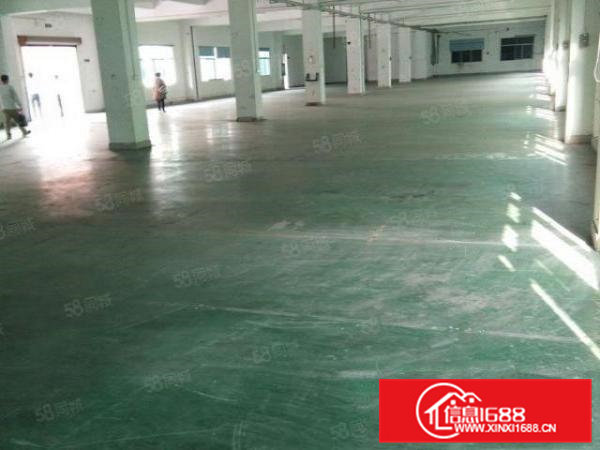 标准一楼厂房1200平方