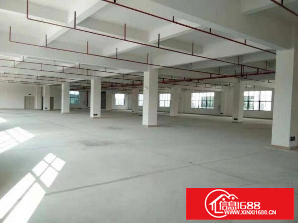 横岗六约新出楼上2300厂房分租,原房东,使用率高