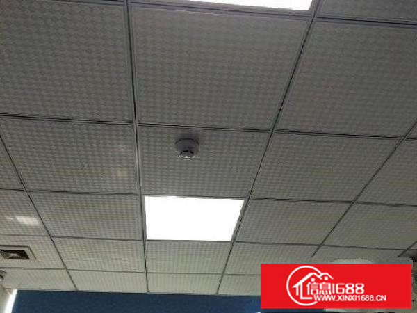 上雪科技园厂房办公室出租分租