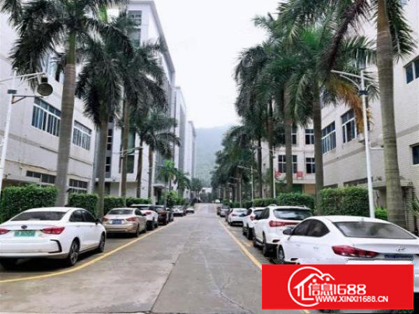 展厅办公急租！横岗保安社区工业园新出2200平，大小可分租