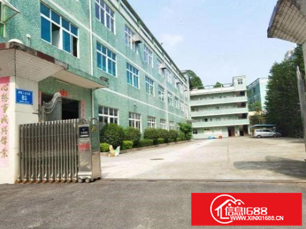 龙岗吉祥地铁新出一楼650平方带装修标准厂房大小面积分租