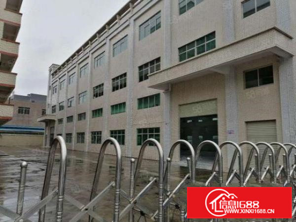 清溪大利新出原房东一楼1100平方带装修低价急租