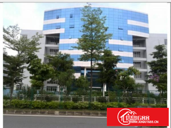 独门独院，全新产业园一手房东招租