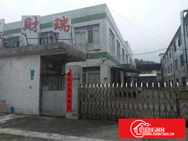 横沥镇山厦工业区新出独院工业厂房两层2000平方招租