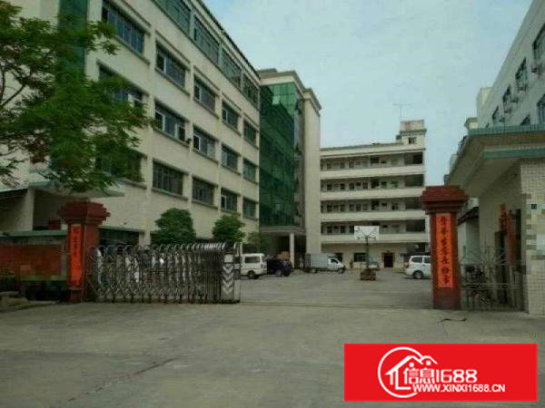 茶山新出独院厂房12800平方有水电装修形象漂亮