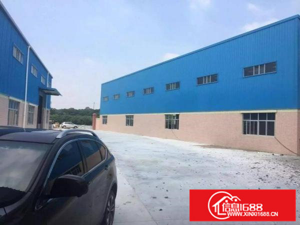 常平镇全新独院3700平米单一层钢构招租