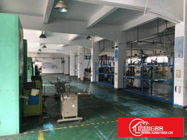 塘厦桥陇新出标准一楼厂房700平米，精装修办公室