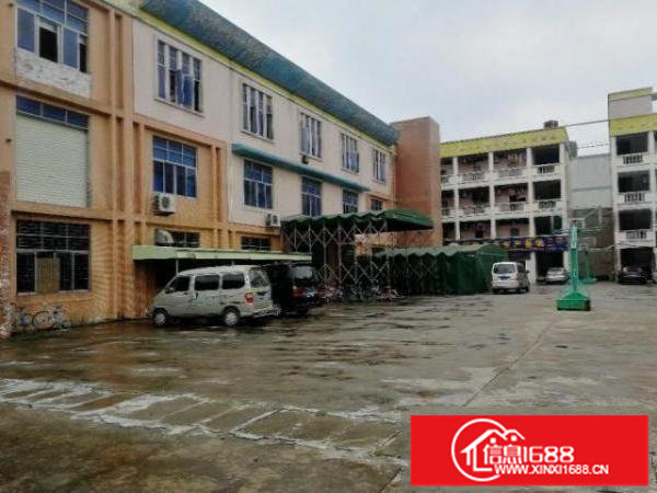 坪山坑梓秀新工业厂房300平方起招租