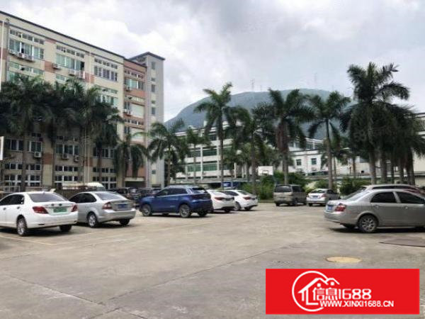 沙荷路边大型原房东工业区新空出楼上整层2000平实际面积出租