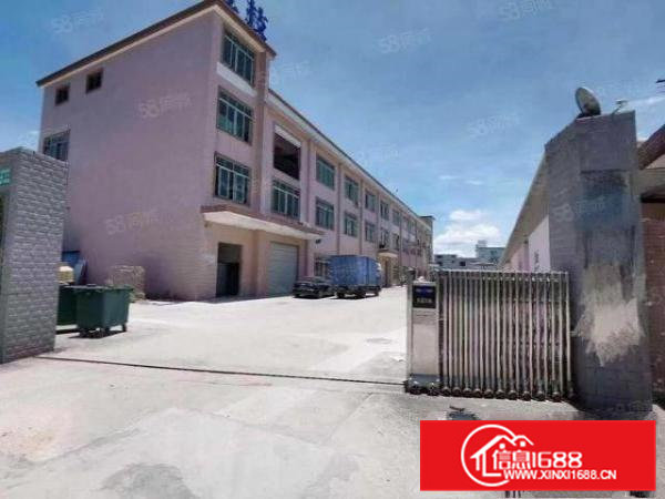 常平原房东全新地坪漆厂房出租