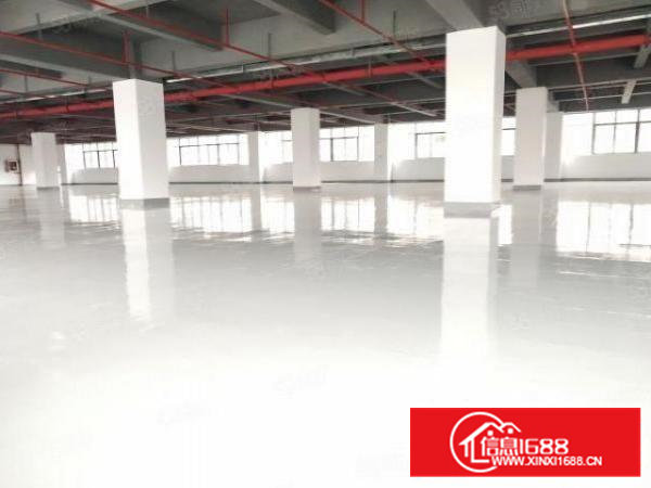 西乡，银田，工业共和路，全新工改厂房2450平，大小可分租