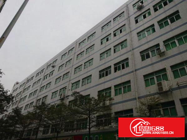 坂田地铁口厂房出租楼上整层1500平米可分一半