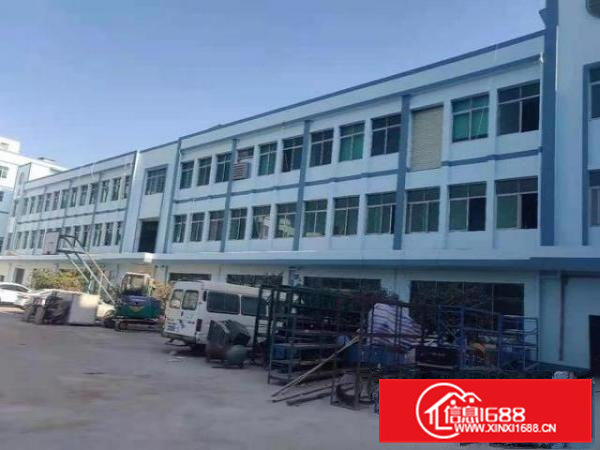 出租常平中元街附近一楼