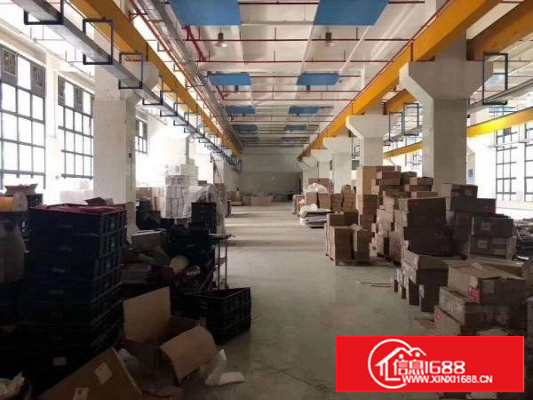 厦岗新出一楼2500平方，有现成行车及办公室装修