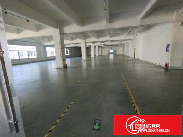 观澜牛湖高尔夫大道边，滴水8米钢结构出租3000平，大小分租