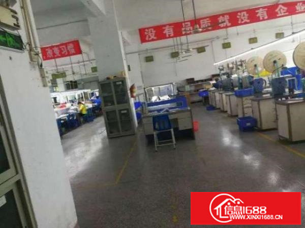 民乐地铁花园独院厂房4层6200平带装修急租形象好