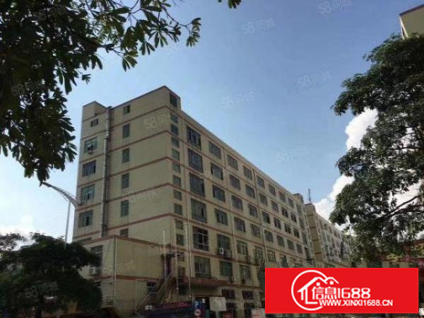 福永塘尾工业园精装修厂房出租2500平，超低价